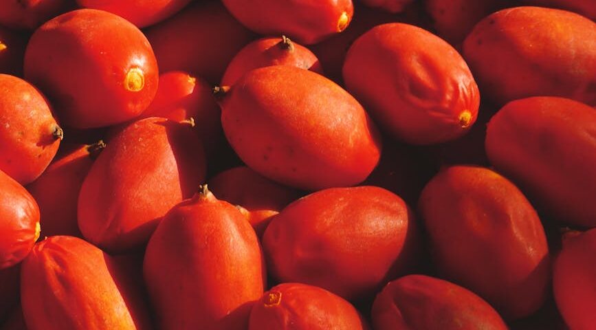 ripe orange fruits