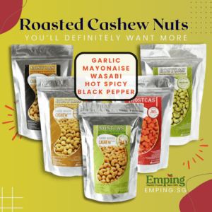 Five packs of Halal-certified Rostcas roasted cashew nuts in gourmet flavors: garlic, mayonnaise, wasabi, spicy, and pepper. | Emping SG