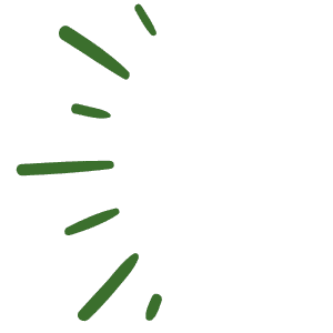 Six green lines of varying lengths radiate outward from the left on a plain, light gray background. | Emping SG