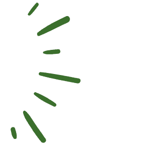 Green lines of varying lengths radiate outward in a semicircle from the left side on a plain light gray background. | Emping SG