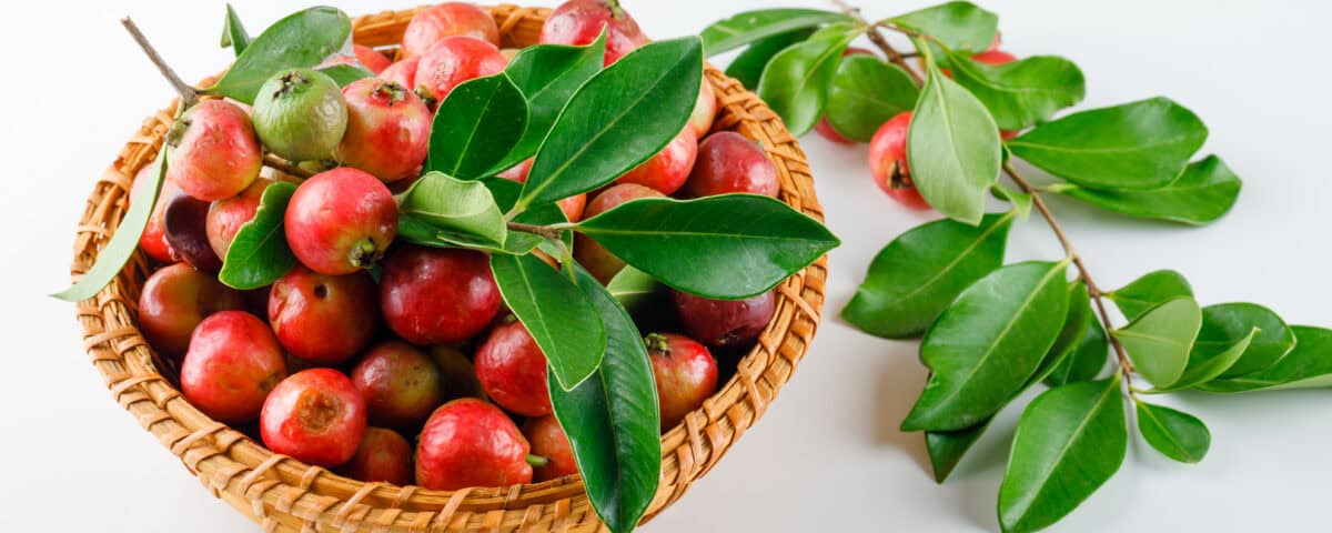 A wicker basket filled with red guavas and green leaves, plus Emping Melinjo branches, on a white background. | Emping SG