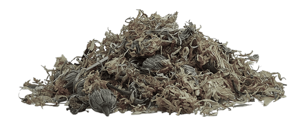 A pile of dried, withered flowers and leaves arranged in a heap against a white background. | Emping SG