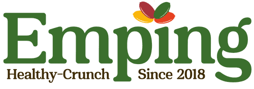 Emping logo with a colorful leaf design above the "i" and the text "Healthy Crunch Since 2018" beneath the company name. | Emping SG