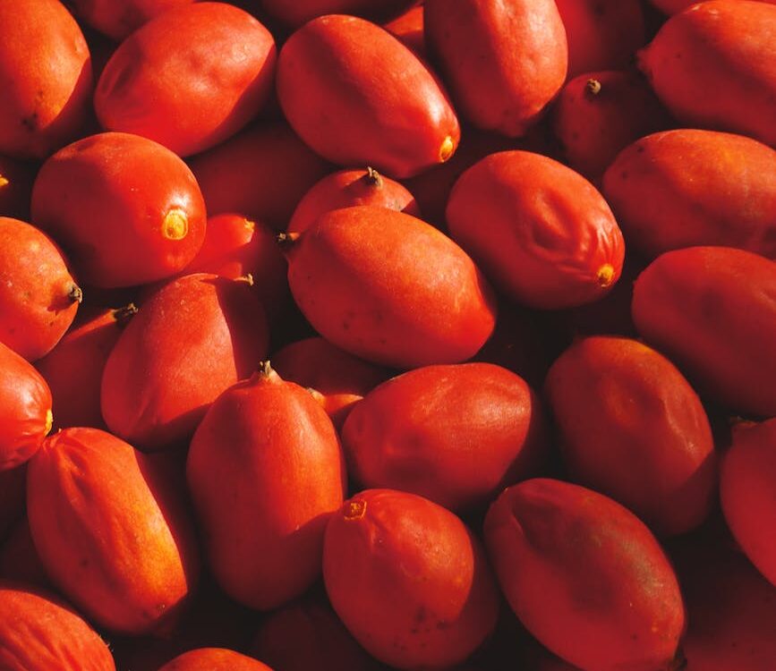 ripe orange fruits