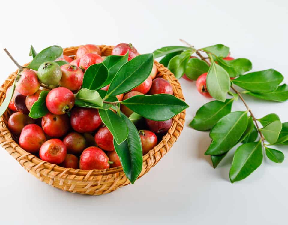 A wicker basket filled with red guavas and green leaves, plus Emping Melinjo branches, on a white background. | Emping SG