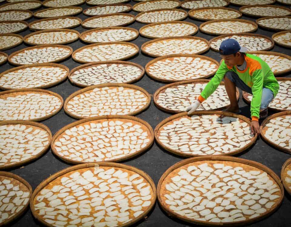A person arranges round trays of emping melinjo, a traditional gluten-free snack, drying in the sun’s repeating pattern. | Emping SG